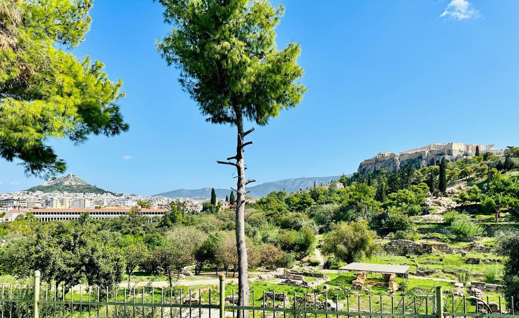 Yuna Penthouse, 100Sqm Private Rooftop Terrasse, Acropolis By Foot Athens Exterior photo